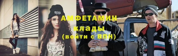 индика Грязовец