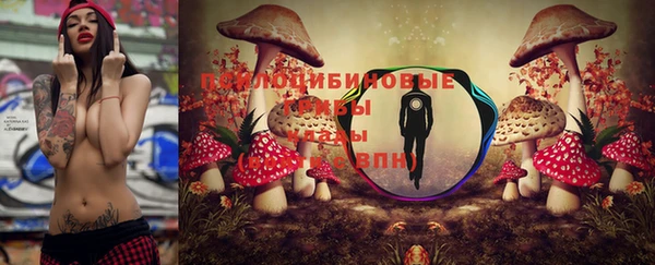 индика Грязовец
