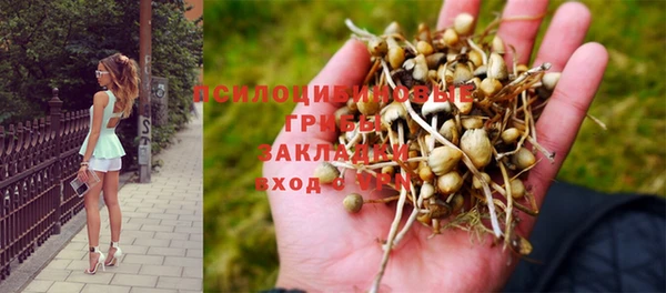 индика Остров