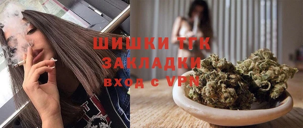 индика Грязовец