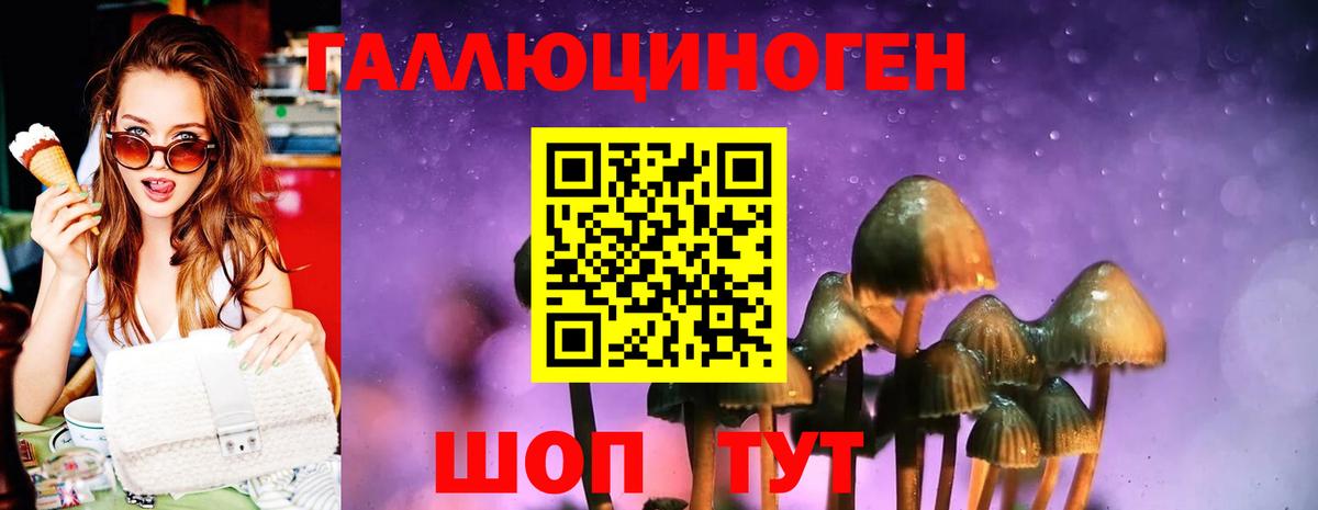 Псилоцибиновые грибы Psilocybine cubensis  Вход с VPN  закладка  Усолье-Сибирское 